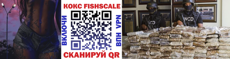 Cocaine Fish Scale  купить закладку  Чкаловск 