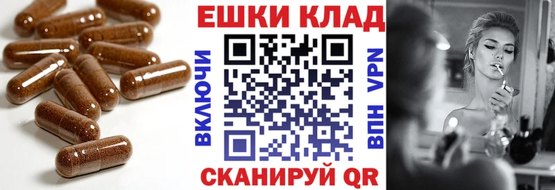 Экстази бентли  mega онион  Чкаловск 