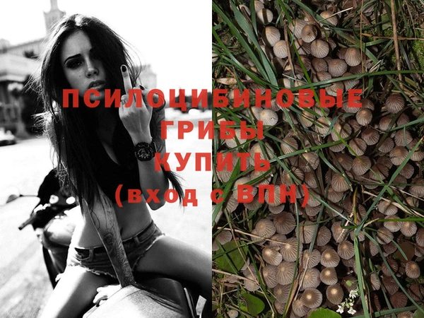 марки nbome Алексеевка