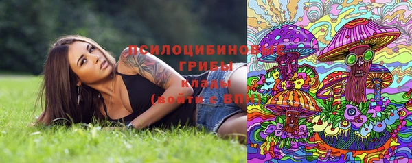спиды Абаза