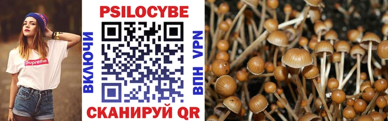 Галлюциногенные грибы MAGIC MUSHROOMS  нарко площадка состав  Чкаловск 